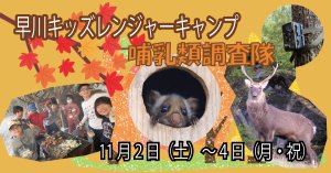 【11/2～11/4】早川キッズレンジャーキャンプ　哺乳類調査隊