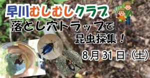 【8/31】早川むしむしクラブ「落とし穴トラップで昆虫採集！」